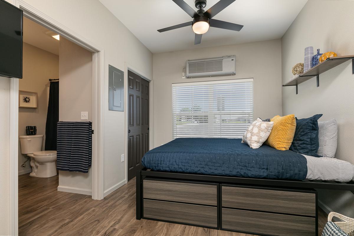 Furnished studio, blue scheme: Bed / bath