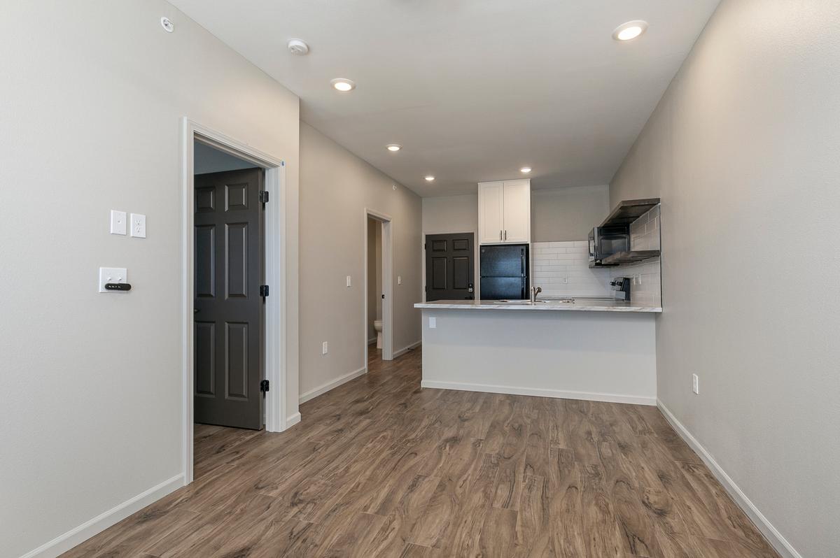 1 Bedroom Suite: Living / Kitchen