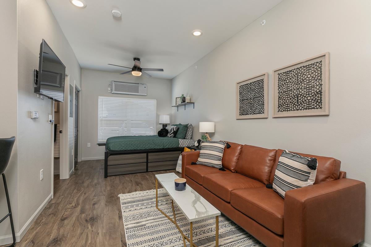 Furnished studio, green scheme: Living / Bed