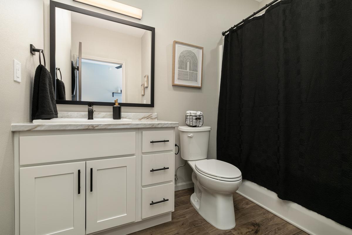 Furnished studio, green scheme: Bathroom