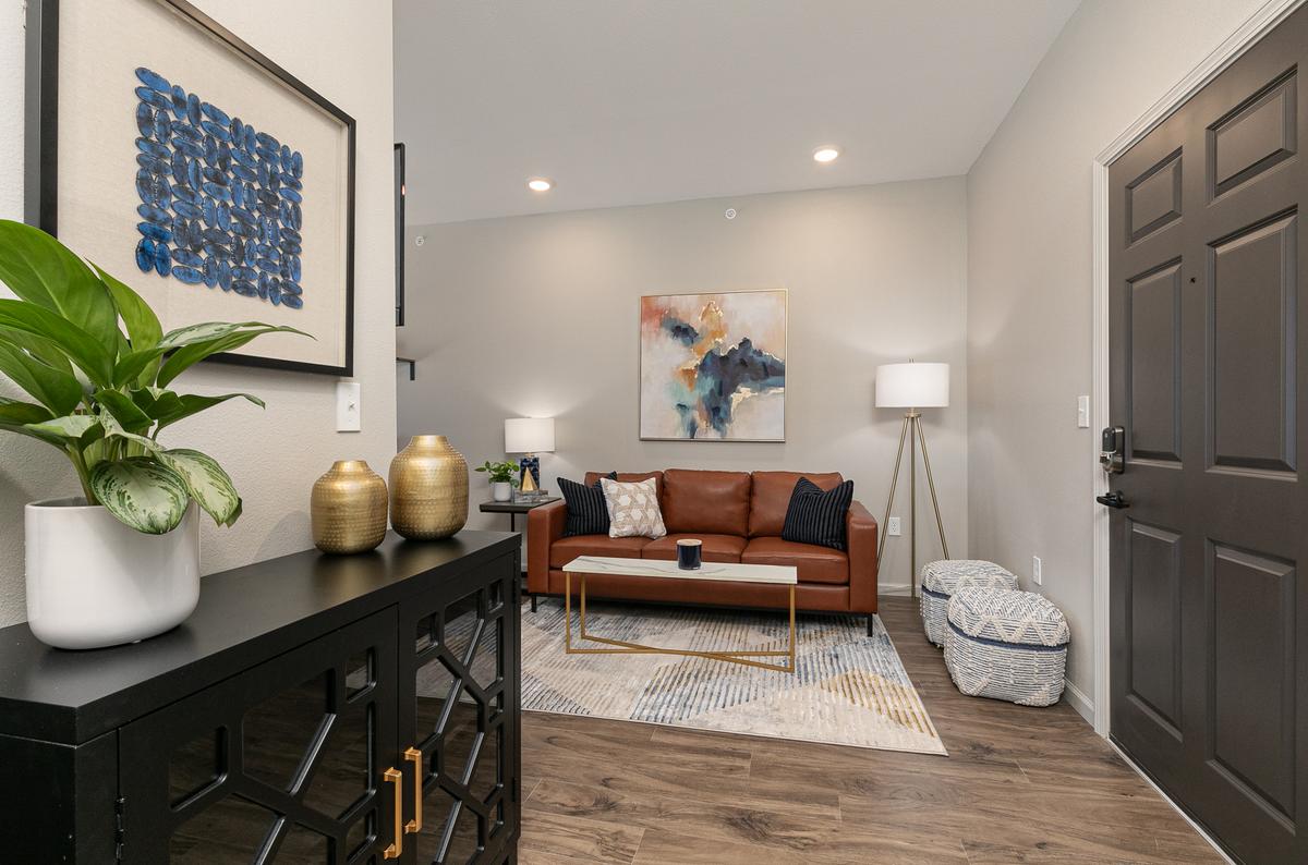 Furnished studio, blue scheme: Living Room