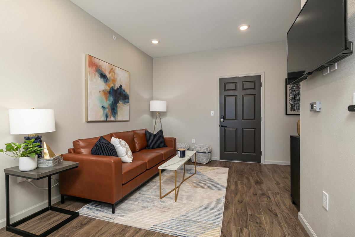 Furnished studio, blue scheme: Living Room