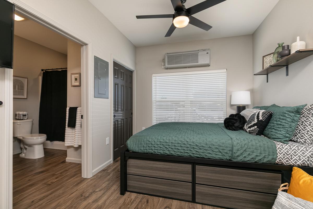 Furnished studio, green scheme: Bed / Bath