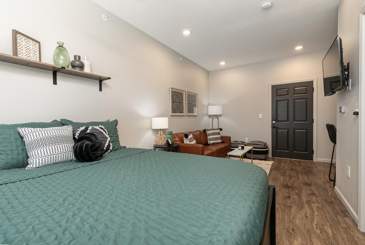 Furnished studio, green scheme: Bed / Living