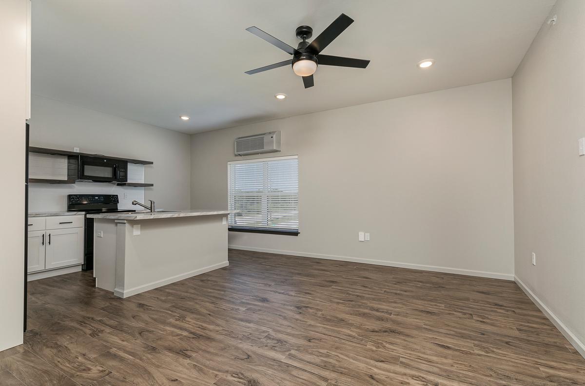 1 Bedroom Premium: Living / Kitchen